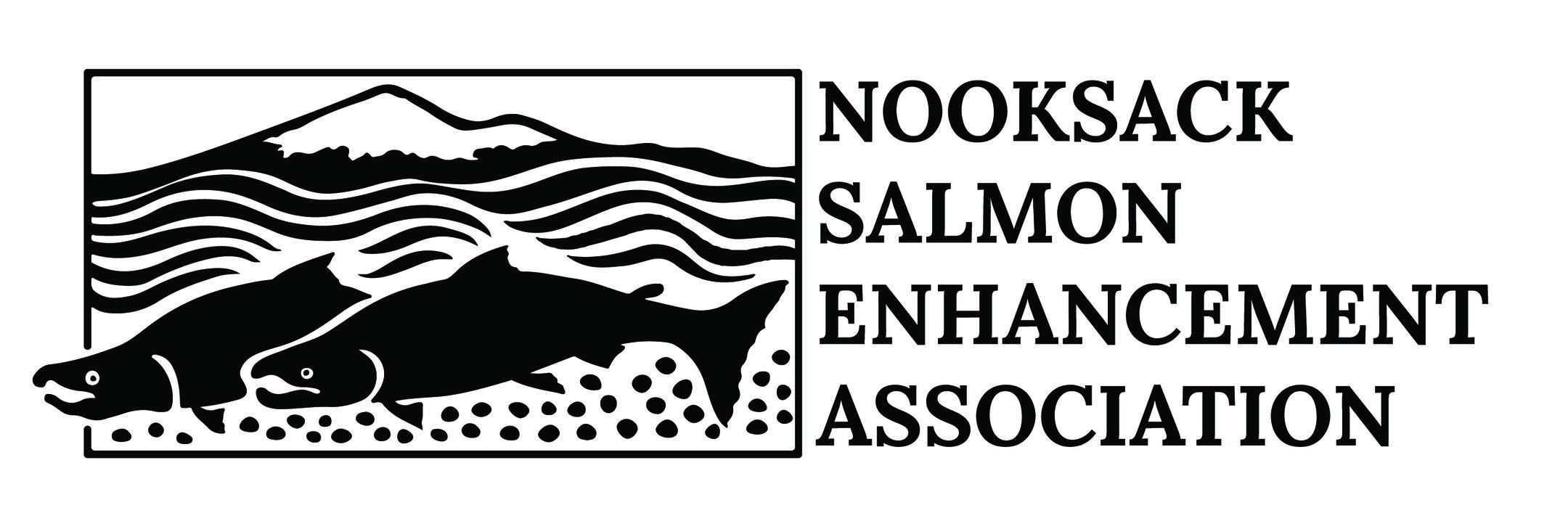 Nooksack Salmon Enhancement Association logo