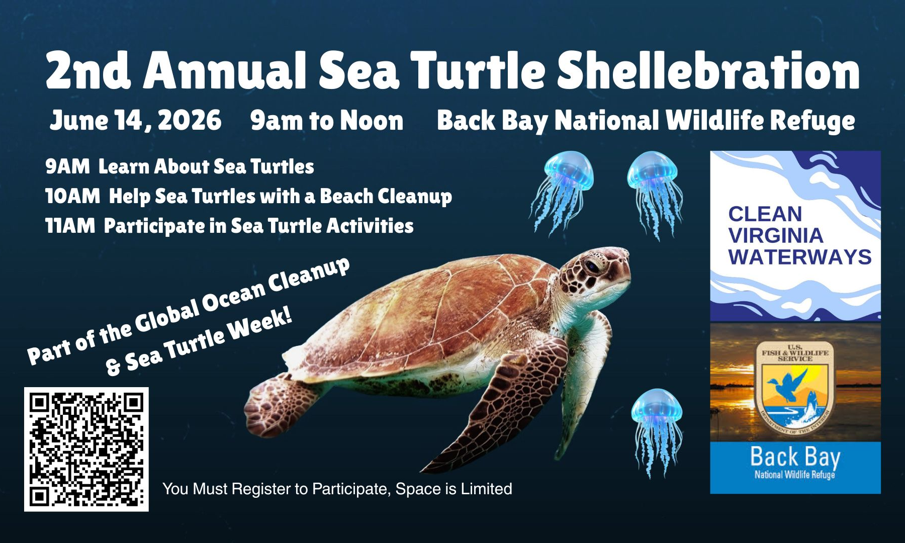 2nd Annual Sea Turtle Shellebration background image