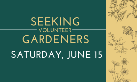Riverwalk Water Wise Demonstration Garden Planting Day background image