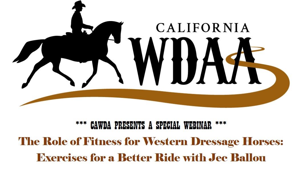 The role of Fitness for Western Dressage Horses background image