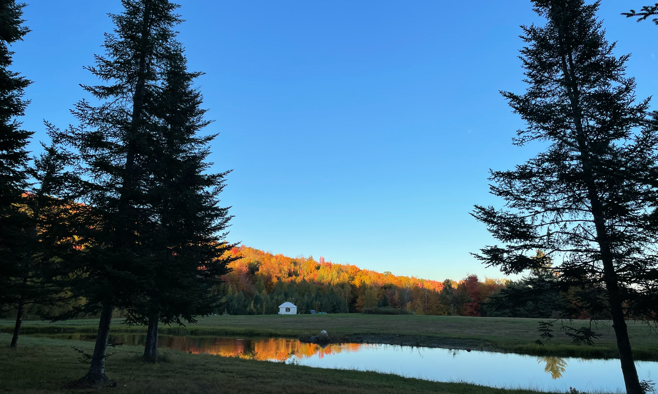 Party at Moretown Family Forest! background image