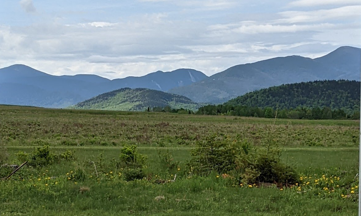 Meadow Yoga at the Adirondack Pollinator Festival background image