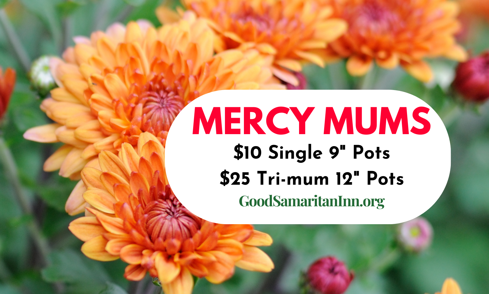 Mercy Mums Sale 2023 by Mercy Mums