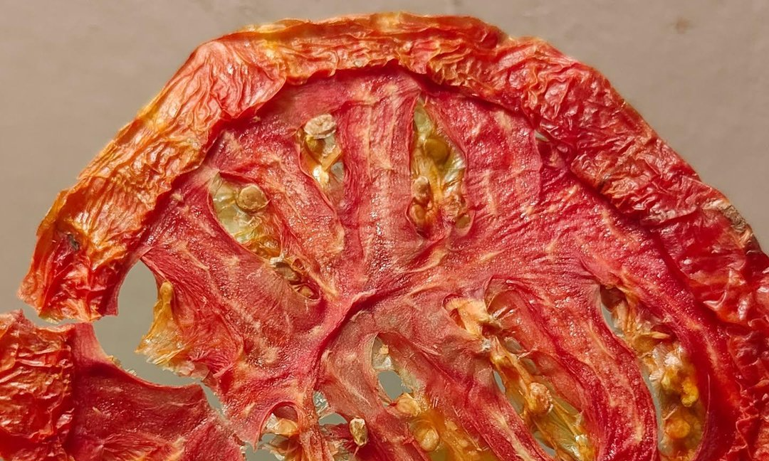 Dehydrating Food for Storage background image