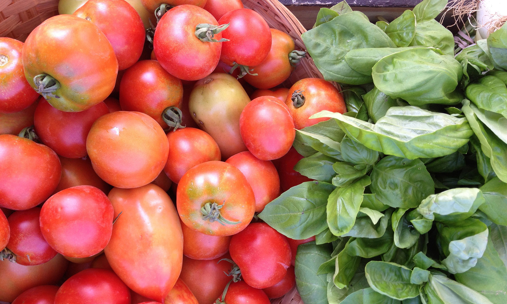 Food Preservation background image