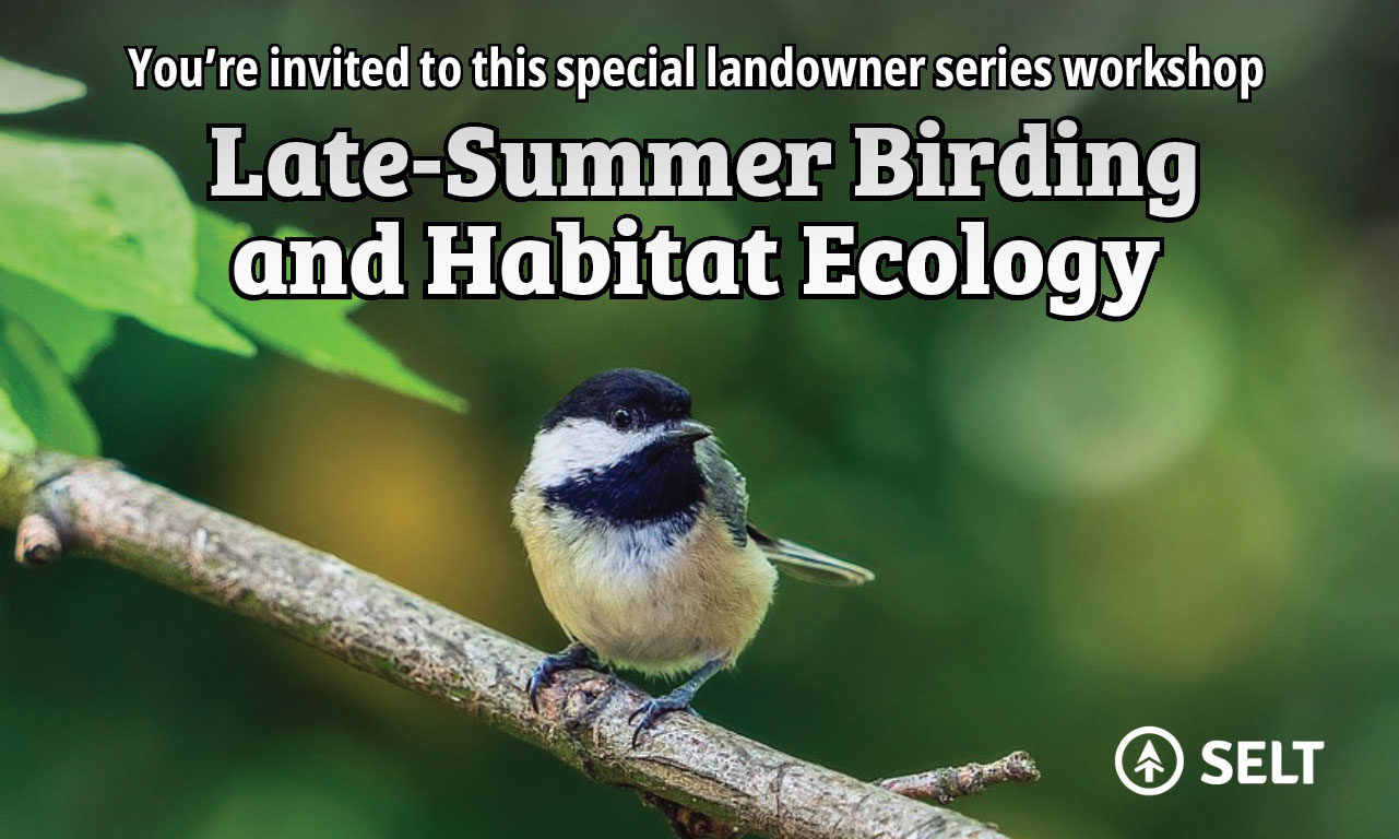  Late-Summer Birding and Habitat Ecology  background image