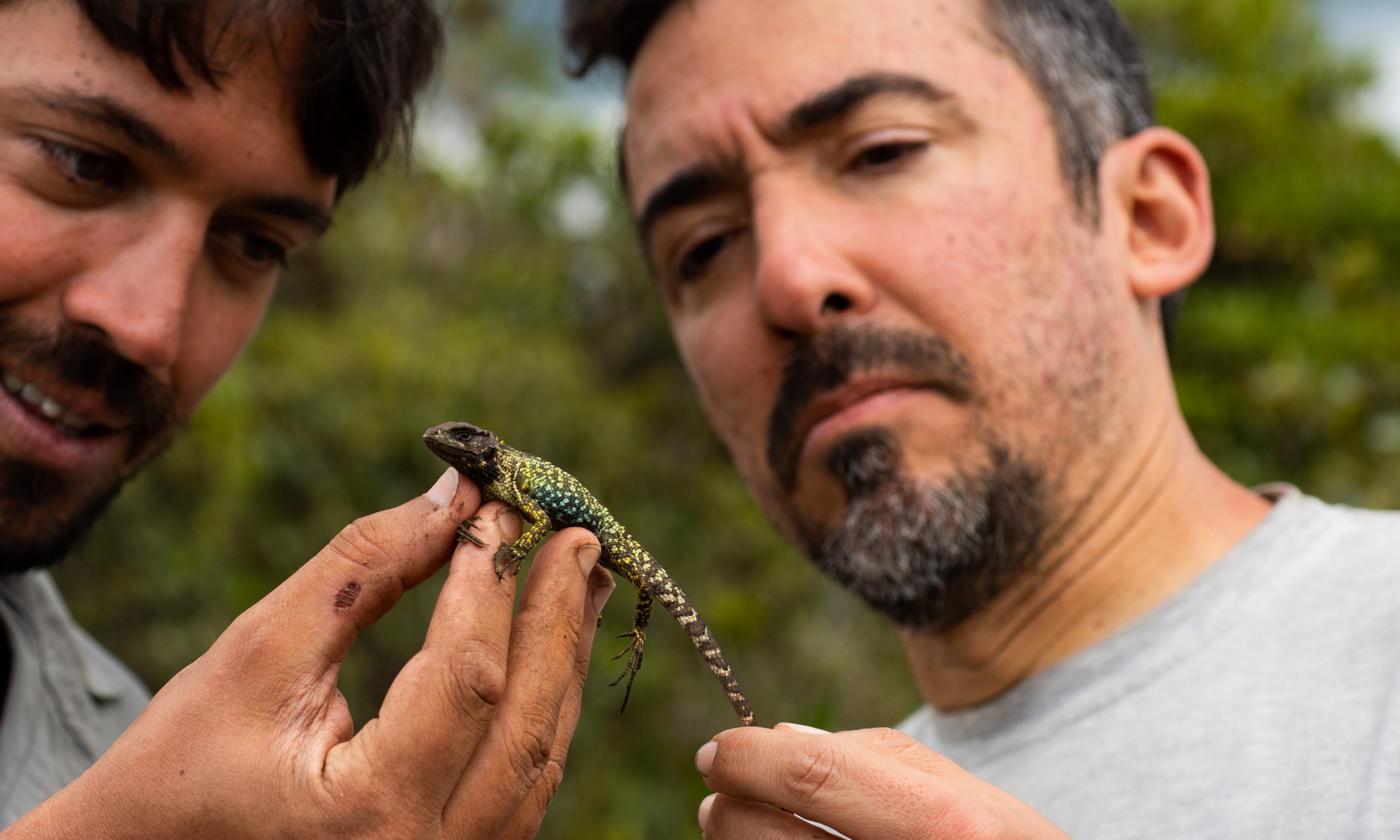 Into the Andean Rainforests: Discovering Peru’s Forgotten Biodiversity background image