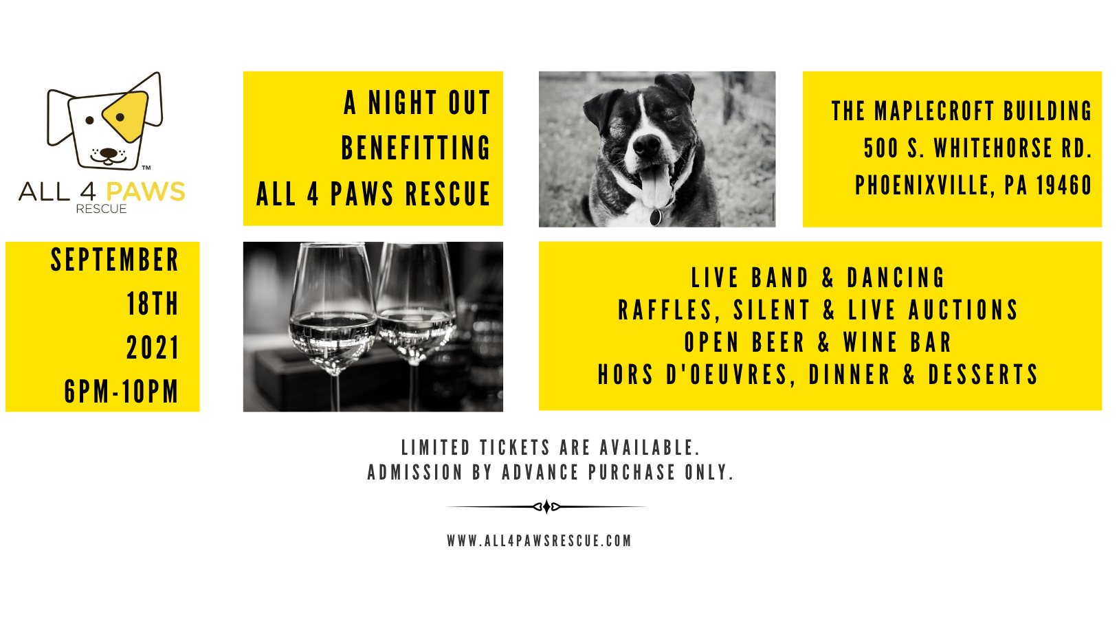 A Night Out Benefitting All 4 Paws Rescue background image