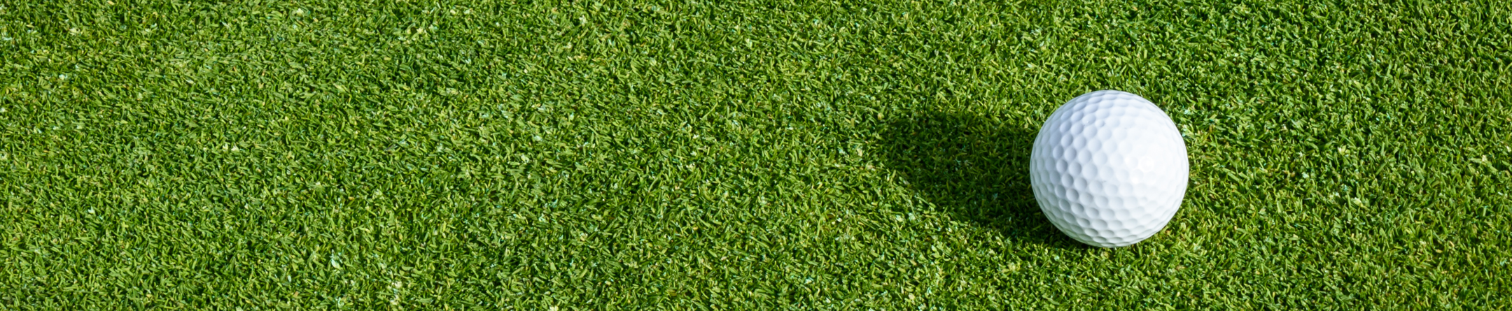 5th Annual Ralph Schrager Memorial Fund Golf Tournament  background image