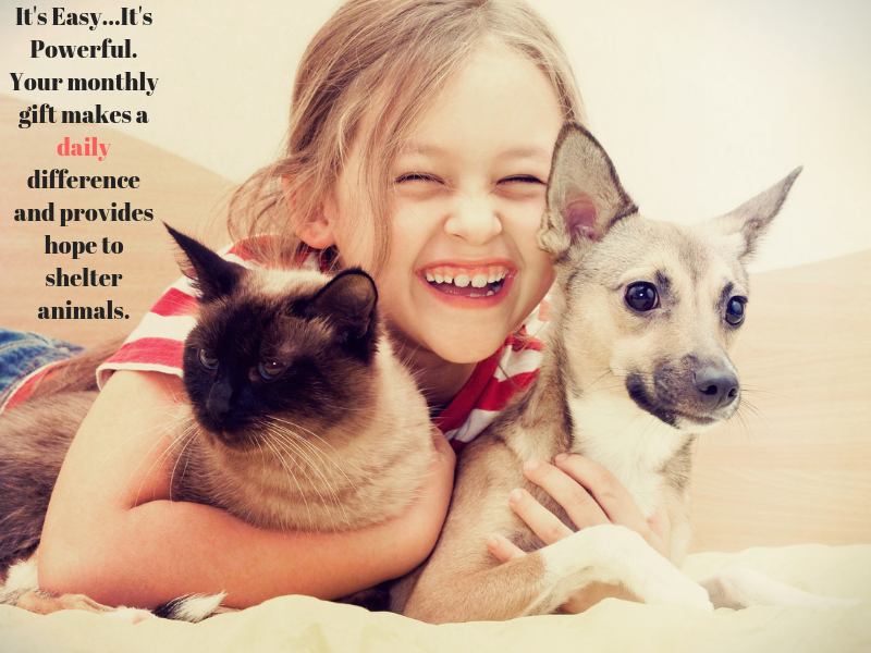 butler humane society dogs