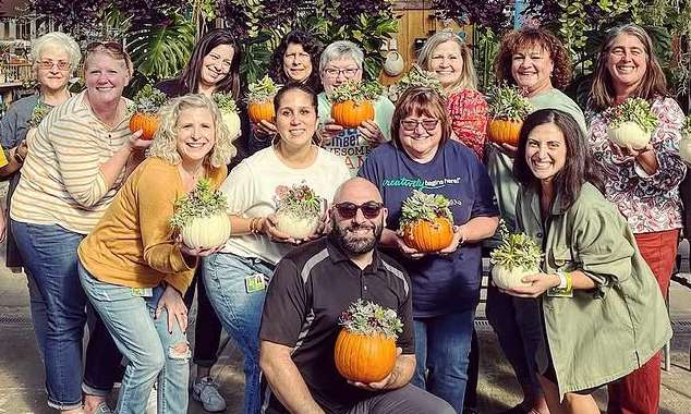 Pumpkin Succulent Workshop - October 2026 background image