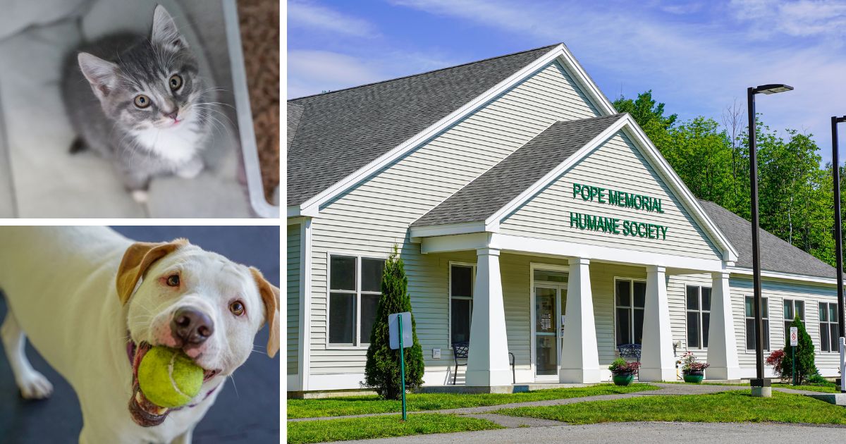 2nd Annual Bark + Brew in the Barn by Pope Memorial Humane Society