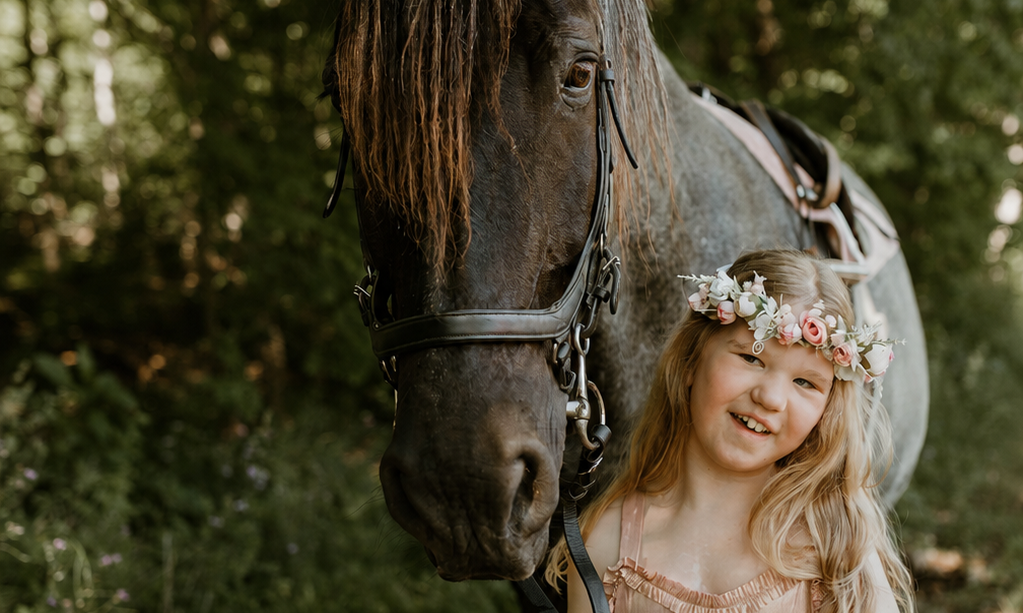 Starz Equestrian Center's 2026 Fall Farm Fundraiser background image
