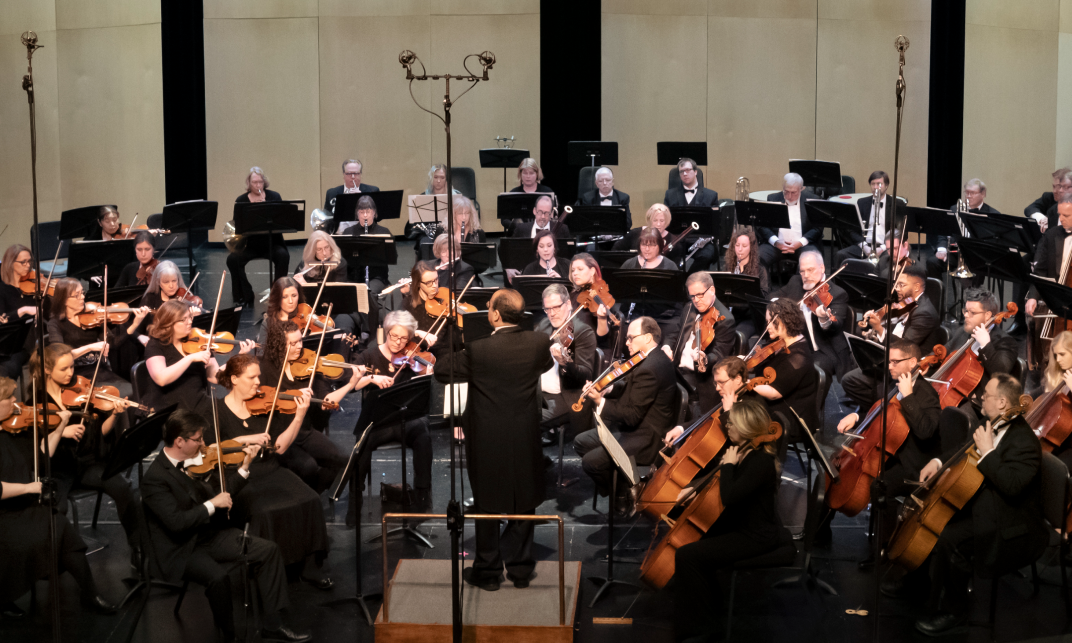 Bloomington Symphony Orchestra Benefit Recital background image