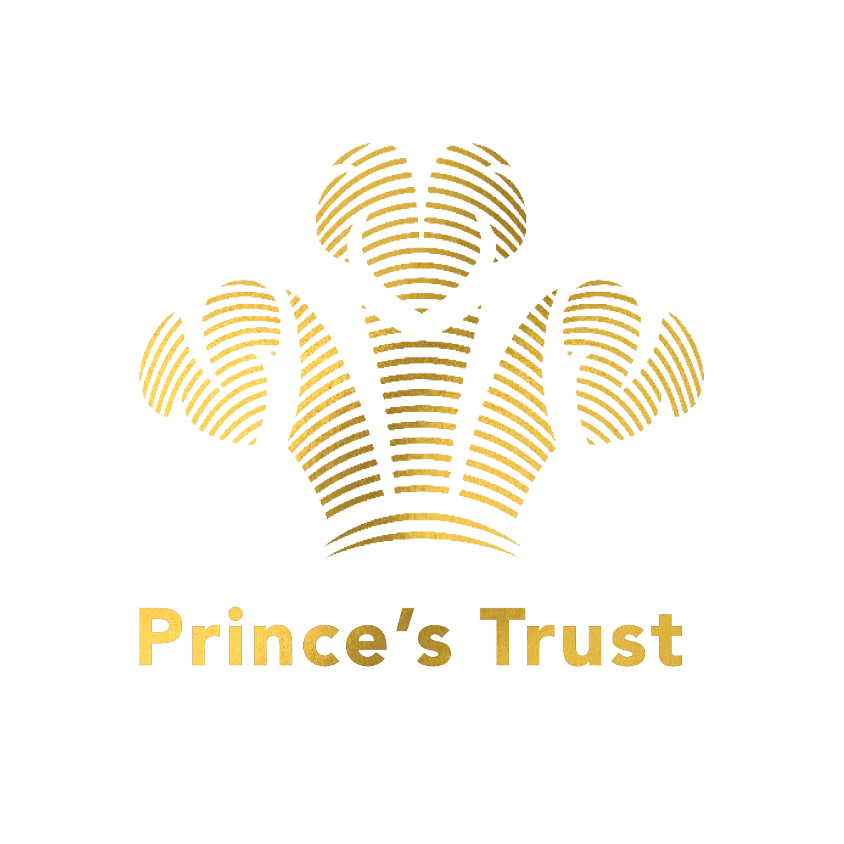 Donate Now The Prince's Trust Global Gala 2023 by The King's Trust USA