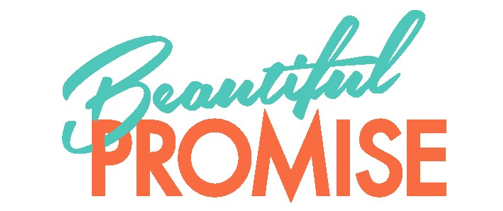 Promise Project logo