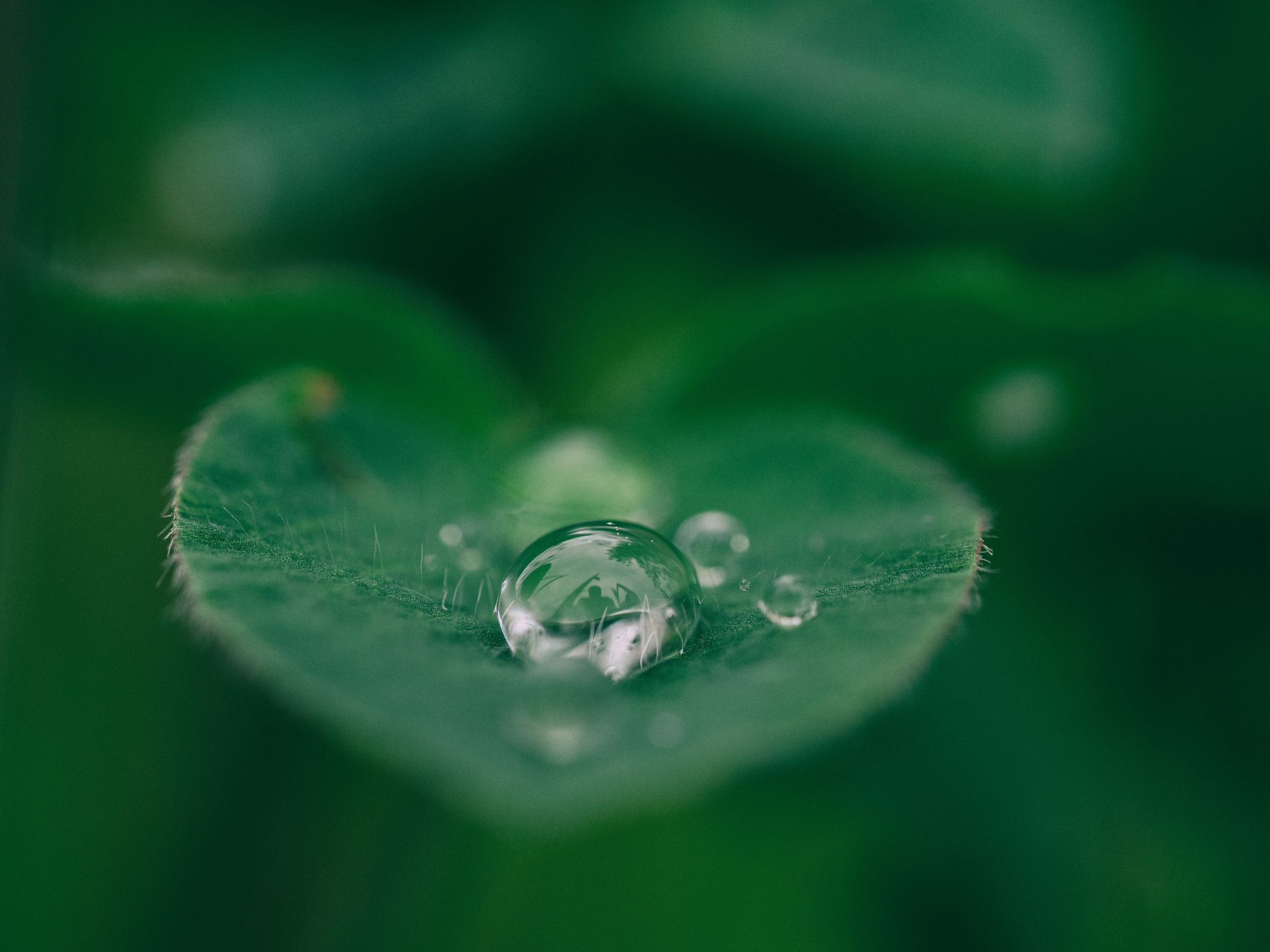 3-day Vipassana Meditation Retreat background image