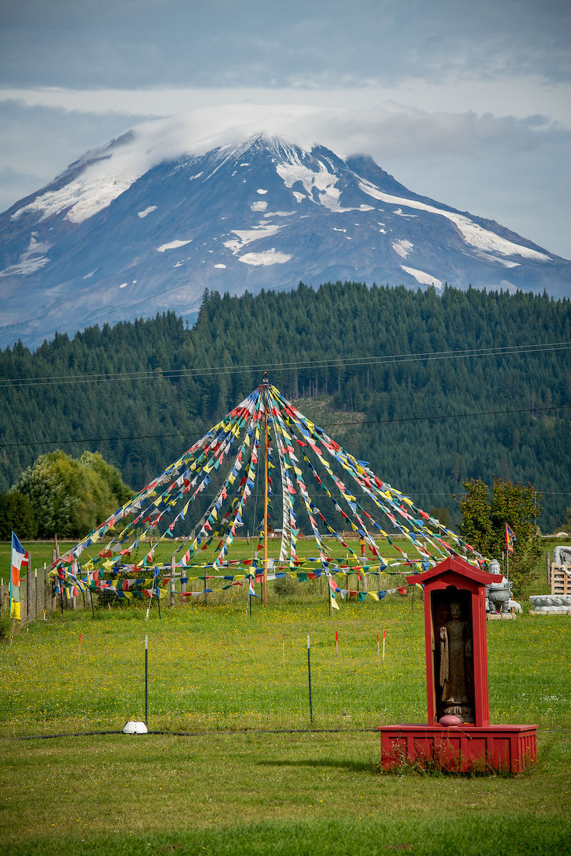 Fall Buddhist Retreat background image