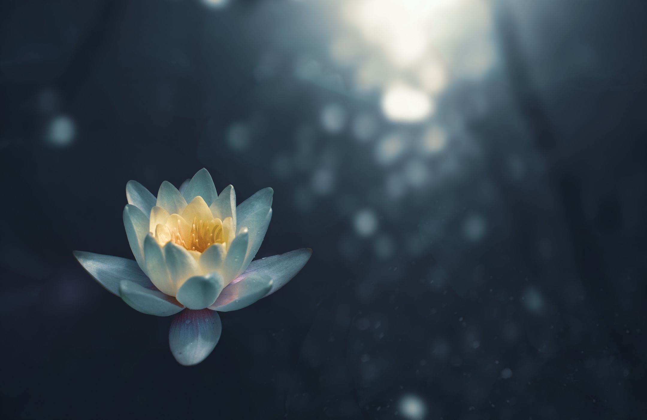 Midnight Meditation background image