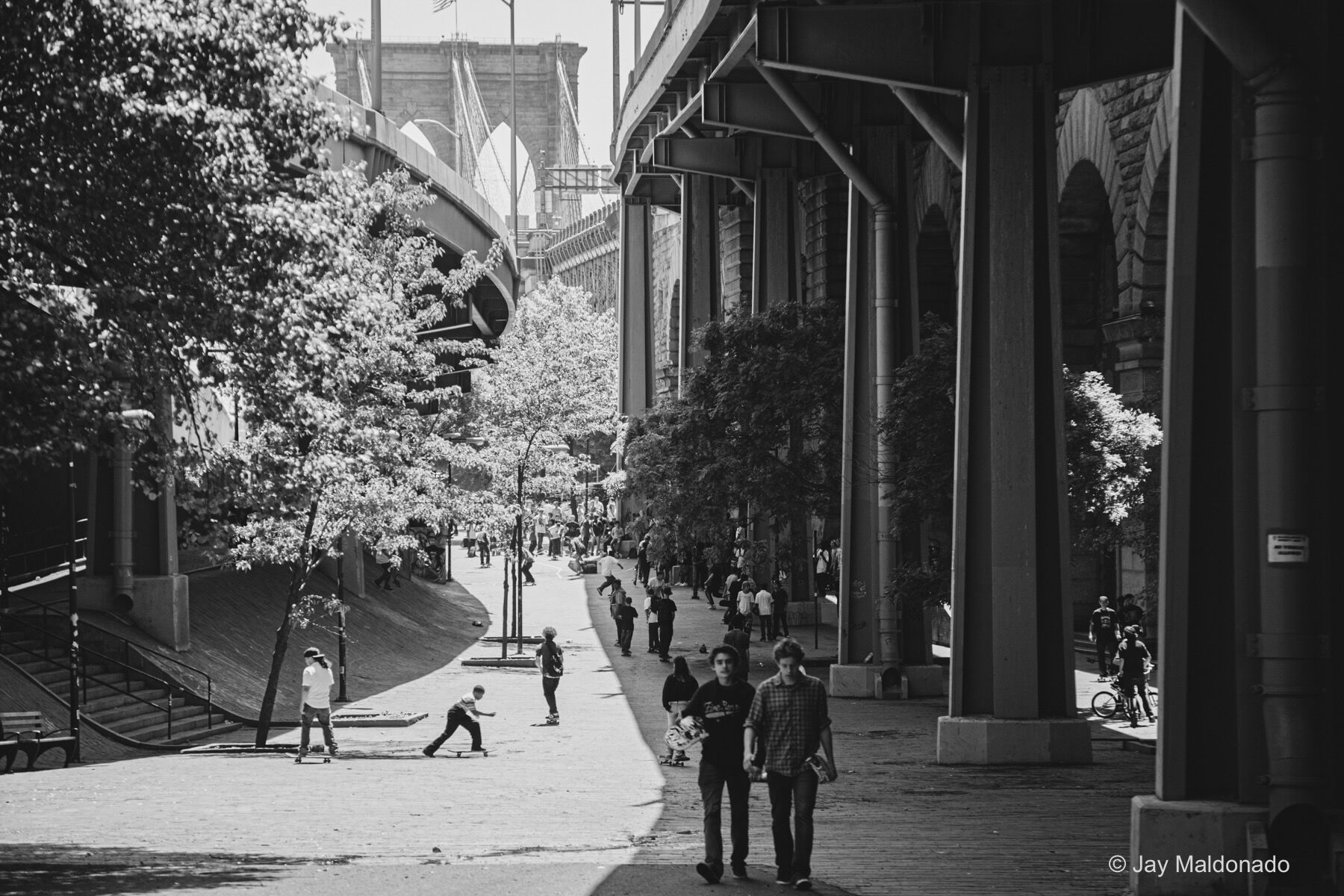 Donate Now Gotham Park