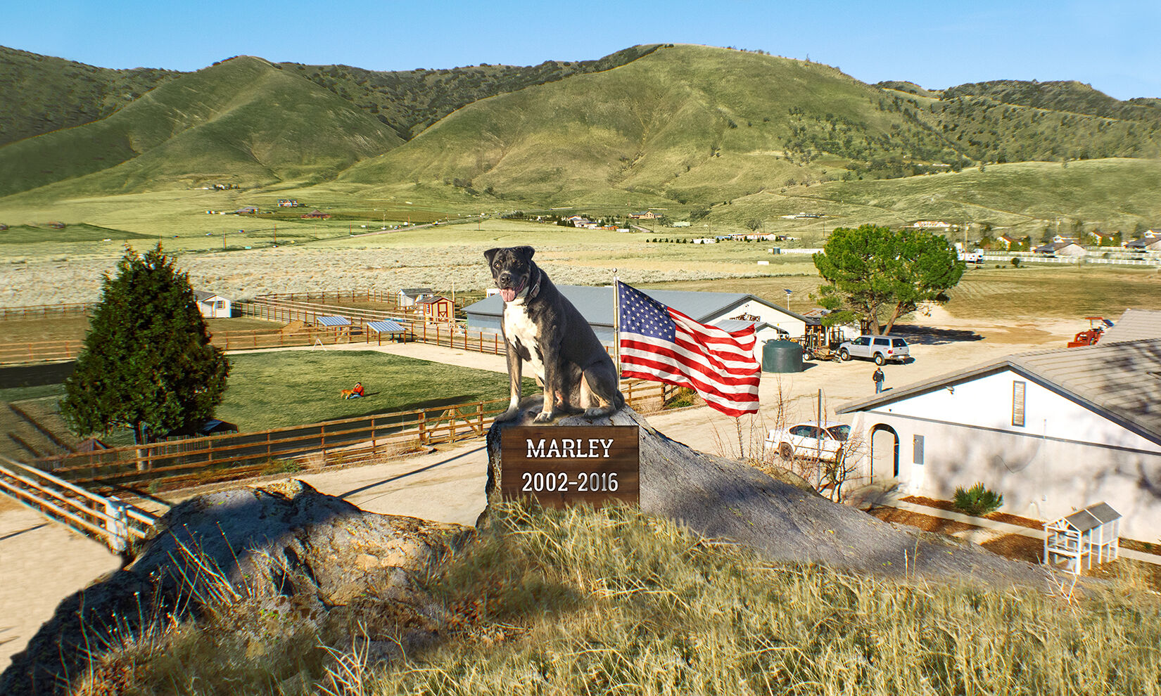 Donate Now Marley's Mutts Dog Rescue