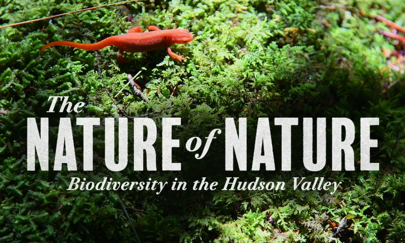 The Nature of Nature - Film Screening and Panel Discussion at the Paramount Theatre background image