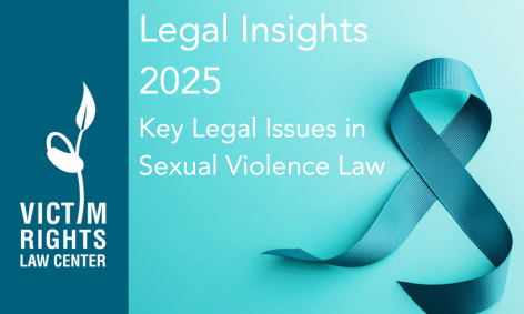 Legal Insights 2025: Key Issues in Sexual Violence Law background image